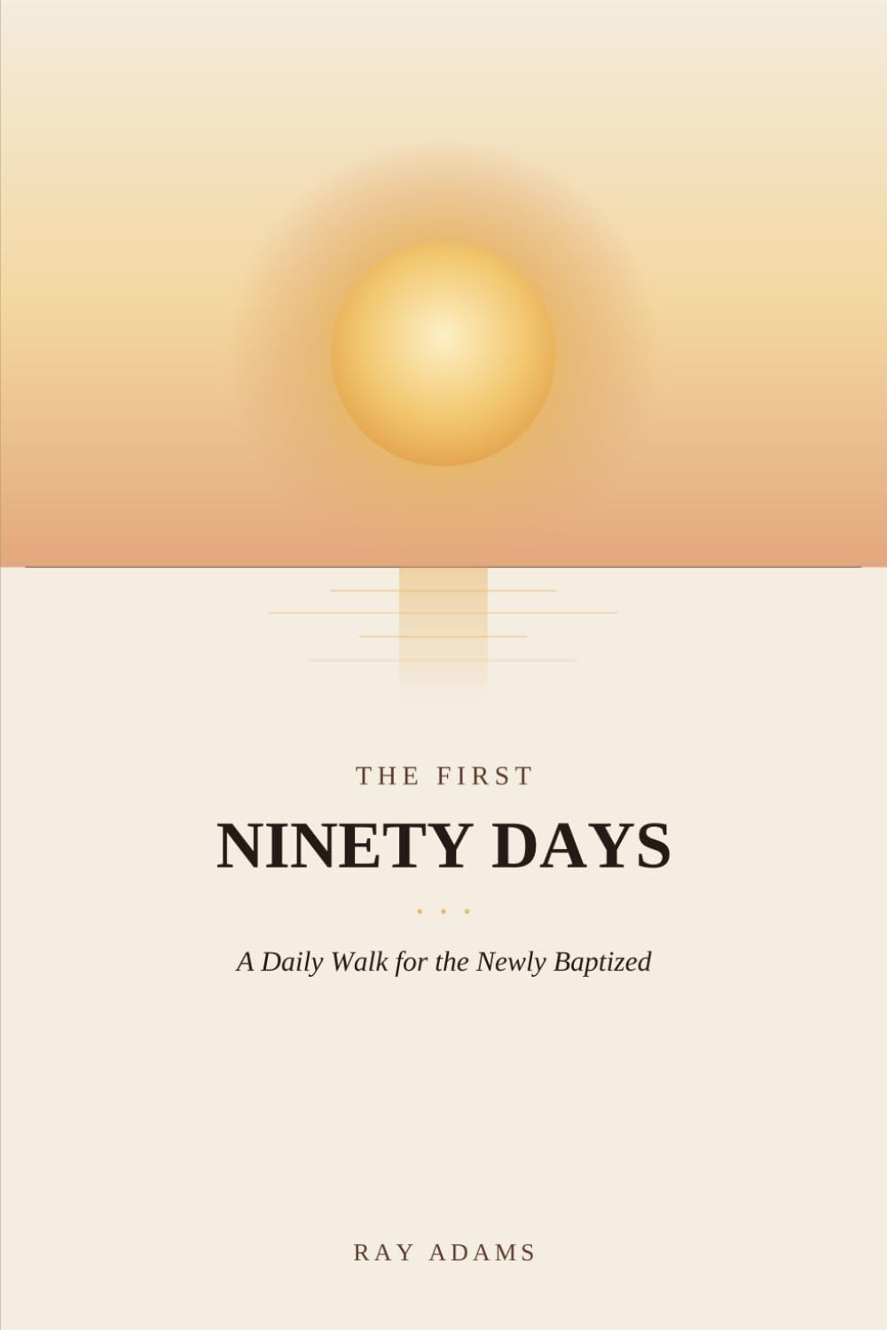 The First Ninety Days — book cover